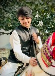 Danimalik, 19 лет, لاہور