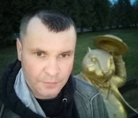 Сергей, 46 лет, Бабруйск