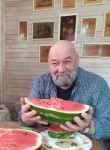 Сергей Димов, 67 лет, Пушкино