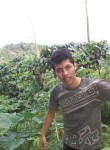 Bambang sutomo, 27 лет, Kota Surakarta
