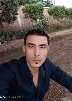Mostafa, 32, جمهورية مصر العربية, المنصورة