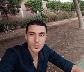 Mostafa, 32 года, المنصورة