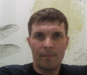 Volodya, 45, Ezhva