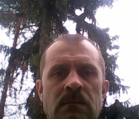 Сергей, 49 лет, Светогорск