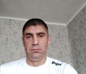Саша, 41 год, Лихославль