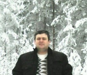 Олег, 46 лет, Новоспасское