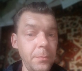 Дмитрий Мороз, 46 лет, Бабруйск