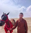 علي الربيعي