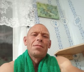 Андрей, 46 лет, Видное