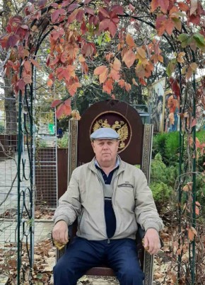 Александр, 69, Россия, Шадринск