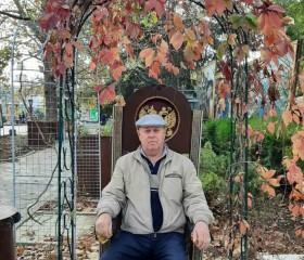 Александр, 69 лет, Шадринск