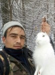 Сергей, 36 лет, Горнозаводск (Пермская обл.)