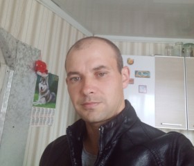 Алексей Петров, 42 года, Петрозаводск