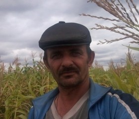 Николай, 53 года, Димитровград