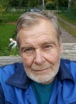 Владимир Сулоев - Луга