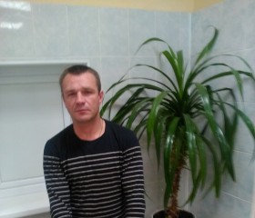 Дмитрий, 44 года, Тамбов