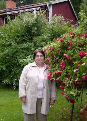 Эльмира, 62, Россия, Новодвинск