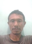 Dani, 46 лет, Kota Medan