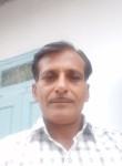 Amratbhai gajj, 52 года, Ahmedabad