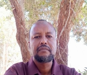 Ahmed, 38 лет, Hargeysa