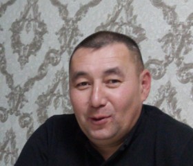 Талгат, 47 лет, Қызылорда
