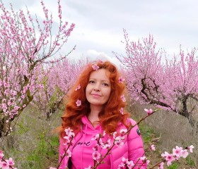 Светлана, 42 года, Севастополь
