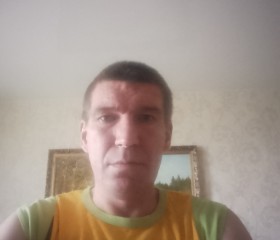 Владимир, 44 года, Нижний Новгород