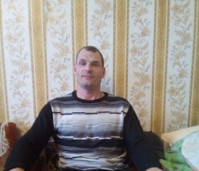 Максим Григорьев, 44 года, Казань