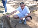Дмитрий, 54 - Только Я Brisben, Koala Sanctuary Park