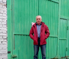 Михаил, 60 лет, Березовка
