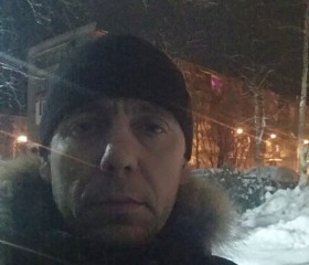 Сергей, 43 года, Оленегорск