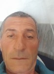 Ayk, 56  , Yerevan