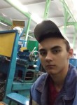 Юрий, 20 лет, Касцюковічы
