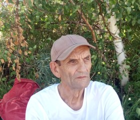 Владимир, 72 года, Поспелиха