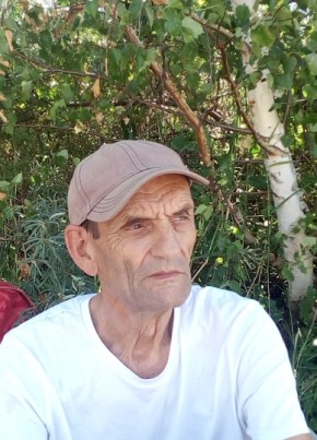 Владимир, 72, Россия, Поспелиха
