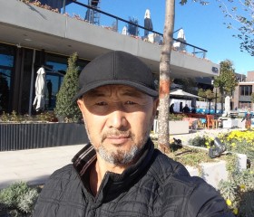 Бакай Курманбаев, 51 год, Бишкек