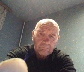 Анатолий, 68 лет, Ирбит