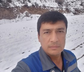 Ilhom Musaev, 40 лет, Toshkent