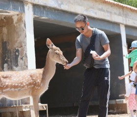 小文同学, 35, Jinchang
