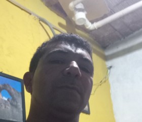 Roberto, 49 лет, São Paulo capital