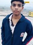 Harsh tiwari, 18 лет, Lucknow