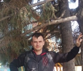 Евгений, 40 лет, Рубцовск