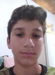 Gustavo, 18 лет, Região de Campinas (São Paulo)