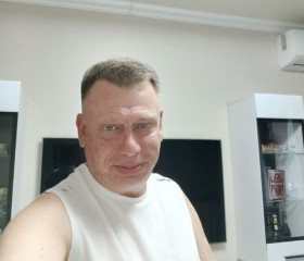 Николай, 52 года, Александров