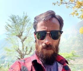 Vikas, 41 год, Shimla
