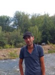 Gexam, 26  , Yerevan