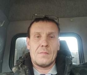 Владимир, 46 лет, Казань
