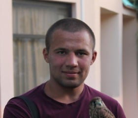 Антон, 29 лет, Вязьма