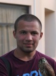 Антон, 28 лет, Вязьма