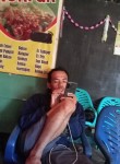 Novianto, 41 год, Simanggang